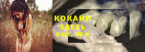 мяу мяу мука Ростов