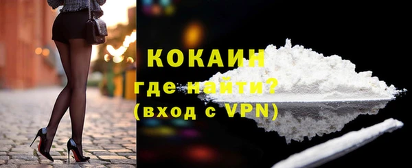 крисы Ельня